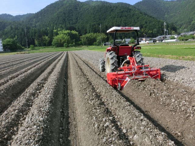 黒豆苗植えまでの作業 その１ 黒豆畑耕す